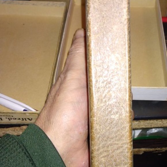 The Poems Of Alfred Lord Tennyson copyright 1900 Embossed Moroccan Leather Boxed - Picture 10 of 12